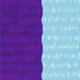 Purple / Sky Blue