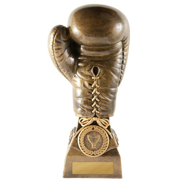 Boxing Glove
