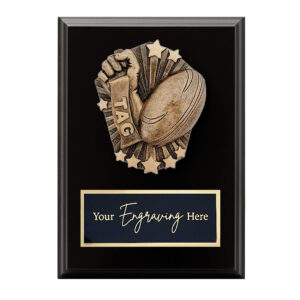 Cosmos Black Plaque Tag Footy