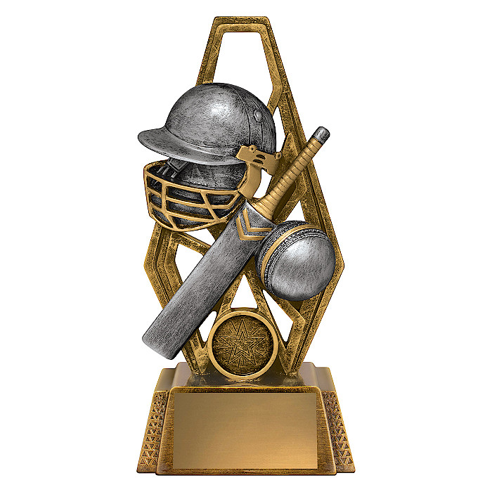 Cyber Cricket
